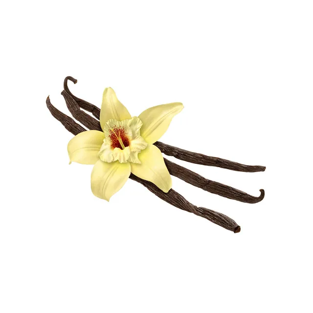 Capella French Vanilla V2 arôme 30ml crémeux