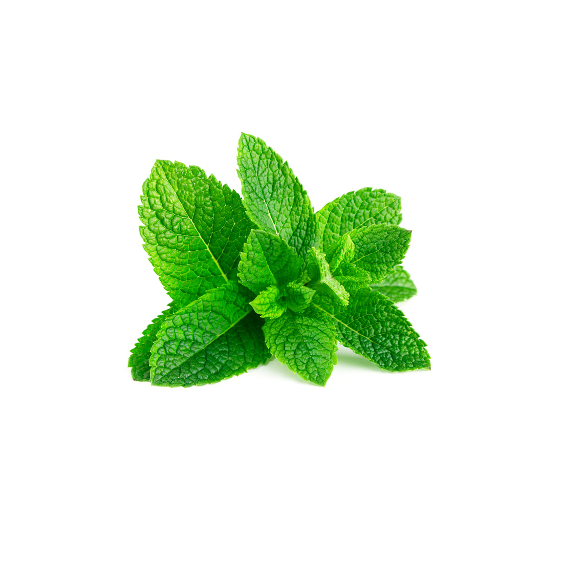 Capella Classics & Comfort Fresh Spearmint arôme menthe 30ml