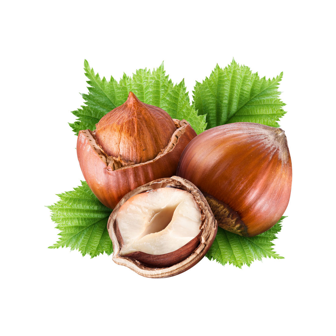 Capella Hazelnut V2 arôme concentré 30 ml noisette beurre