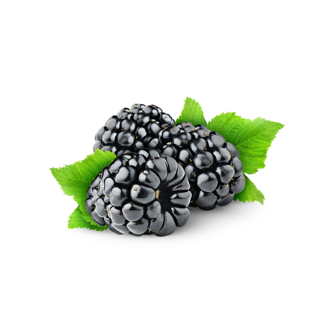 Capella Blackberry arôme alimentaire 30ml mûre
