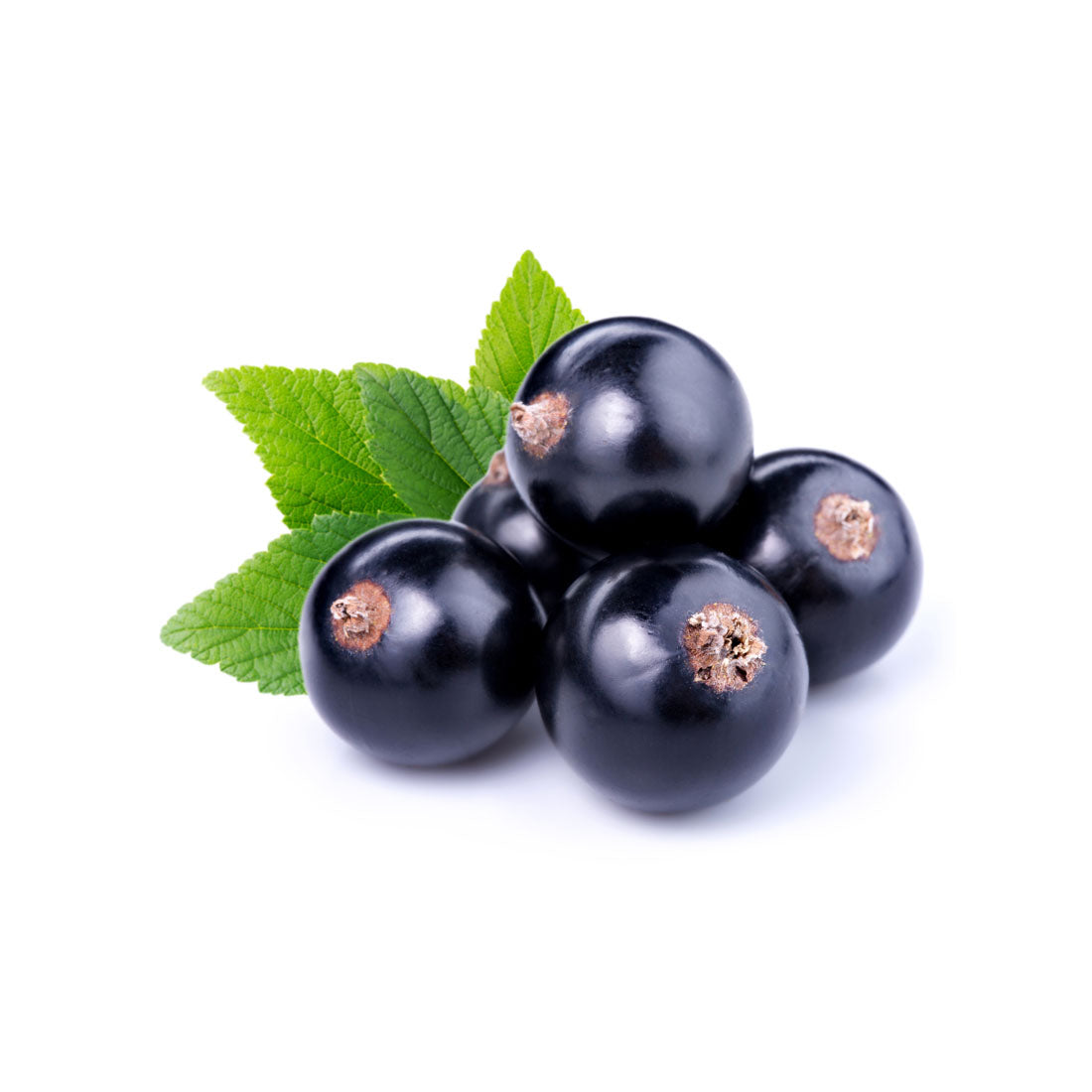 Capella Black Currant arôme alimentaire 30ml cassis