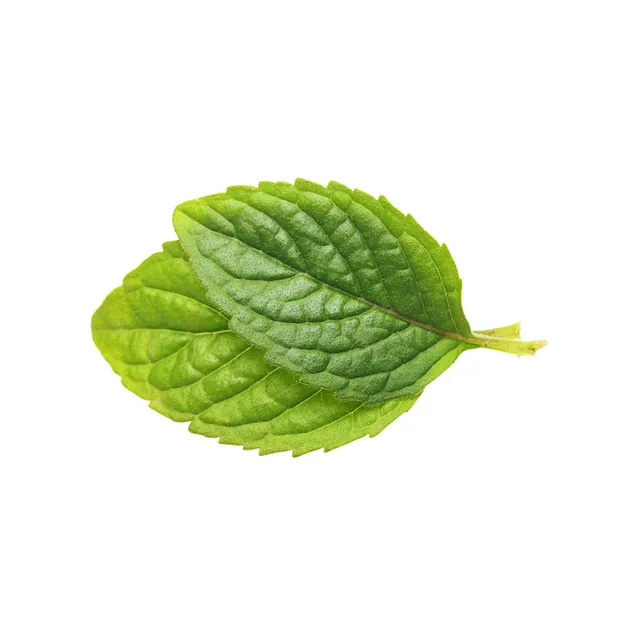 Capella Classics Spearmint arôme menthe verte 30 ml