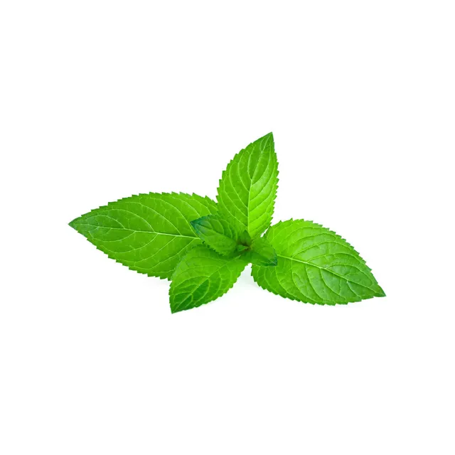 Capella Cool Mint arôme alimentaire menthe 30 ml