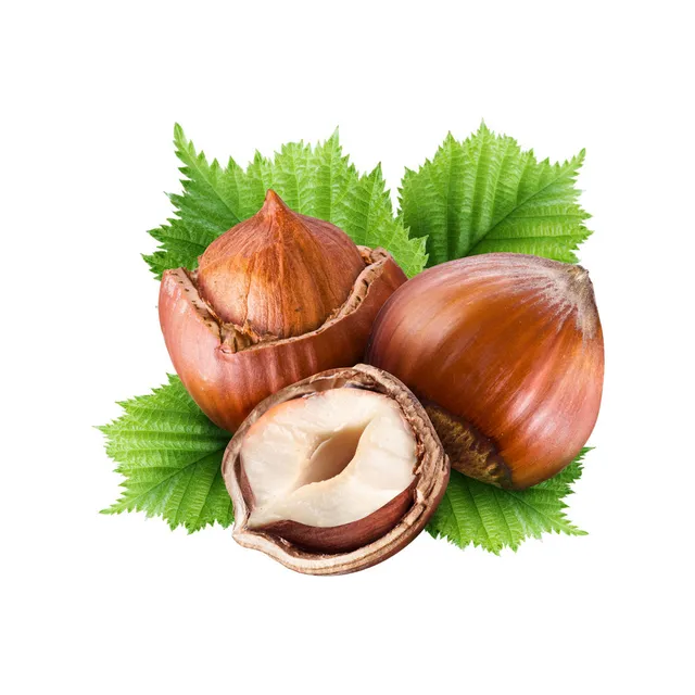 Capella Hazelnut V2 arôme noisette 30 ml