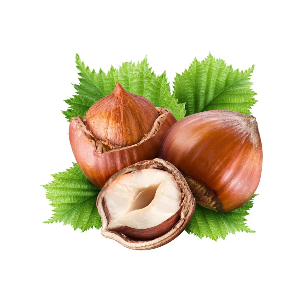 Capella Hazelnut V2 arôme concentré 30 ml noisette beurre